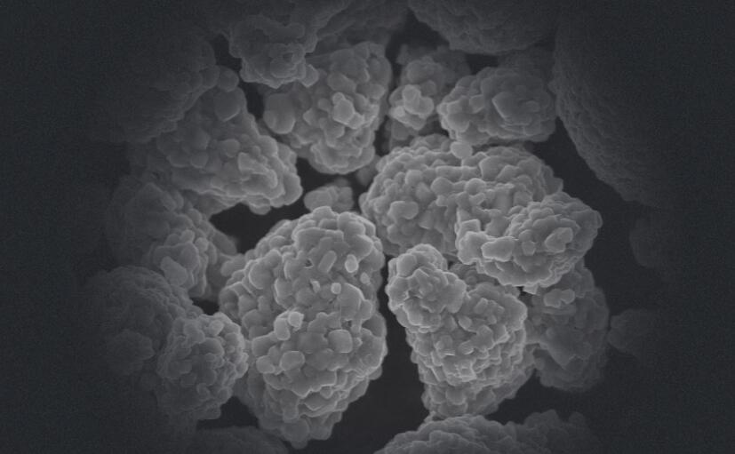 前驱体报价随钴盐小幅上涨 动力市场6月