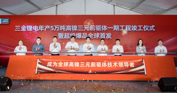 磷酸铁锂！三元前驱体！龙蟠科技三日内