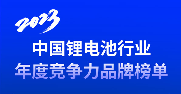 2023年中国锂电池行业电解液年度竞争力品牌