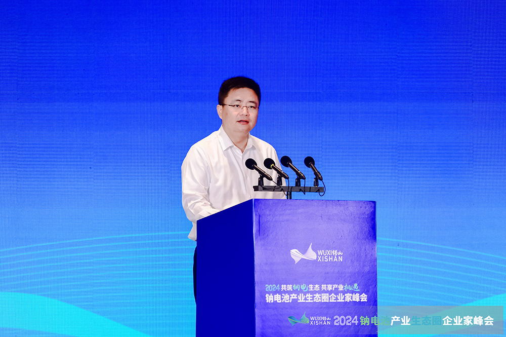 顾文浩：培育新质生产力 加快“钠电+电动两