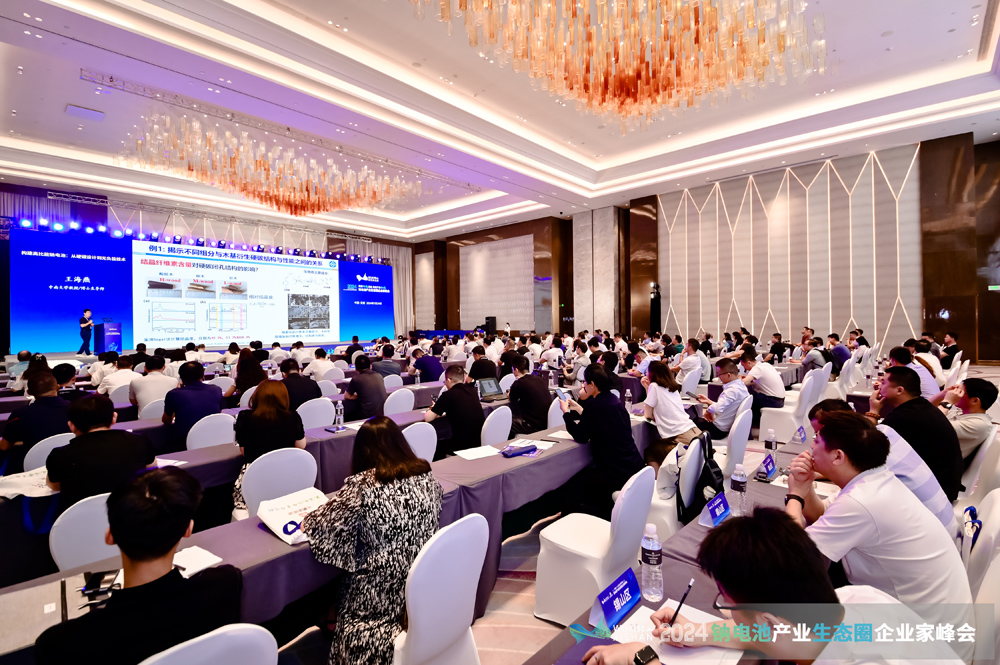 风口？风险？千亿级钠电池赛道如何突围？