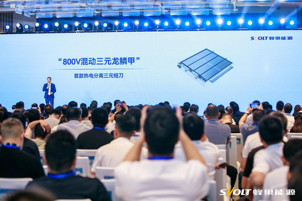 技术回应内卷 蜂巢能源短刀出货全球第一 上