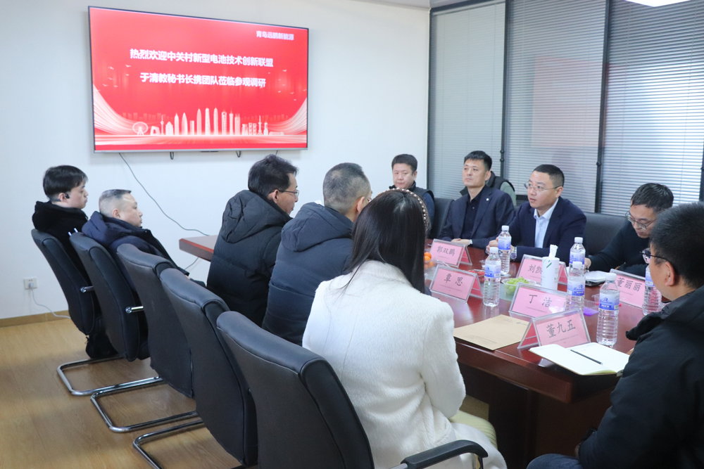 聚焦电池更换标准制定 联盟标委会一行到