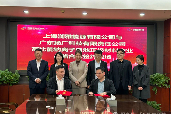 10亿元！年产6万吨！这一钠离子电池正极