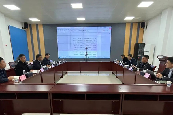 共推年产4800吨硫酸镍项目 陕西银矿与红马科