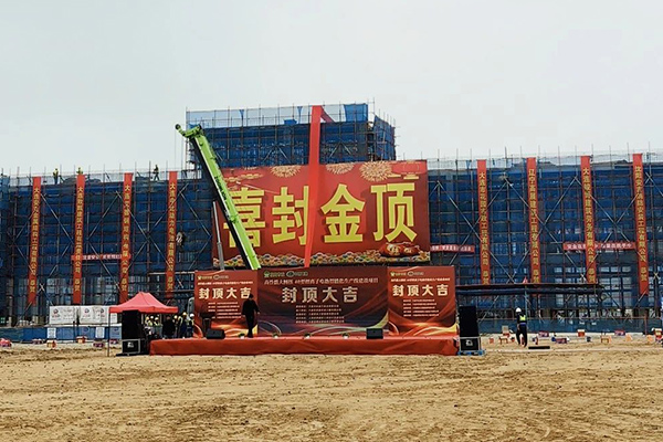 10亿元！大连中比这一大圆柱锂电池项目