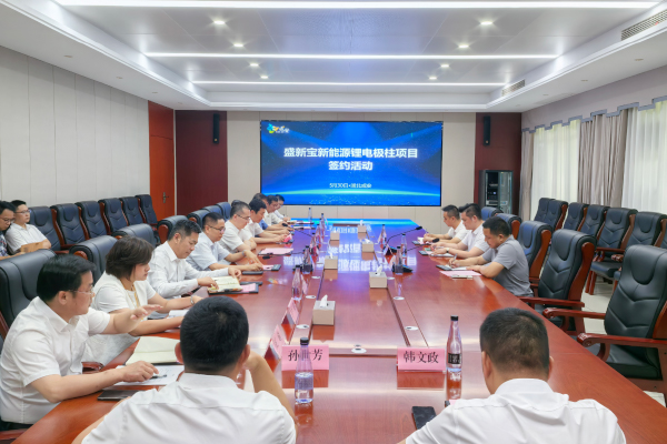 坐标湖北咸宁 这一新能源锂电池极柱项目签