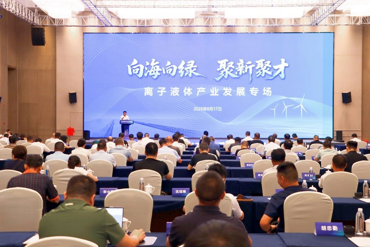 总投资6亿！江苏南通蓝德新材料离子液项目