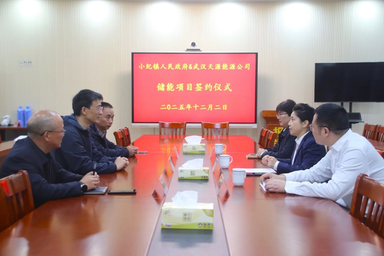 总投资约6亿！武汉天源电网侧新型储能项