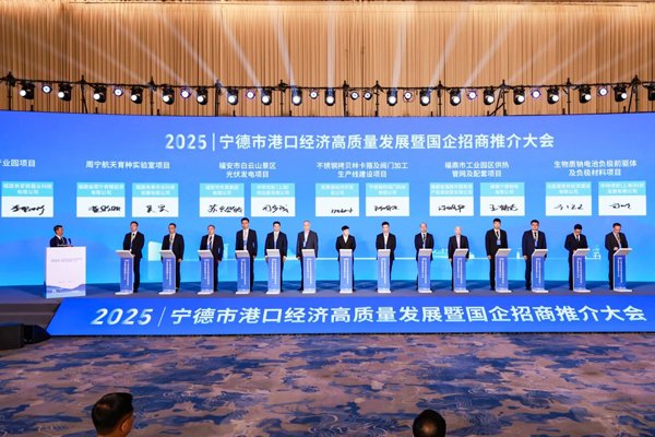 总投资额23亿元！一钠电负极材料项目签约福