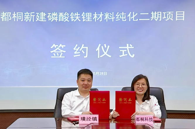 电解液龙头拟扩产16万吨磷酸铁锂！三元材料