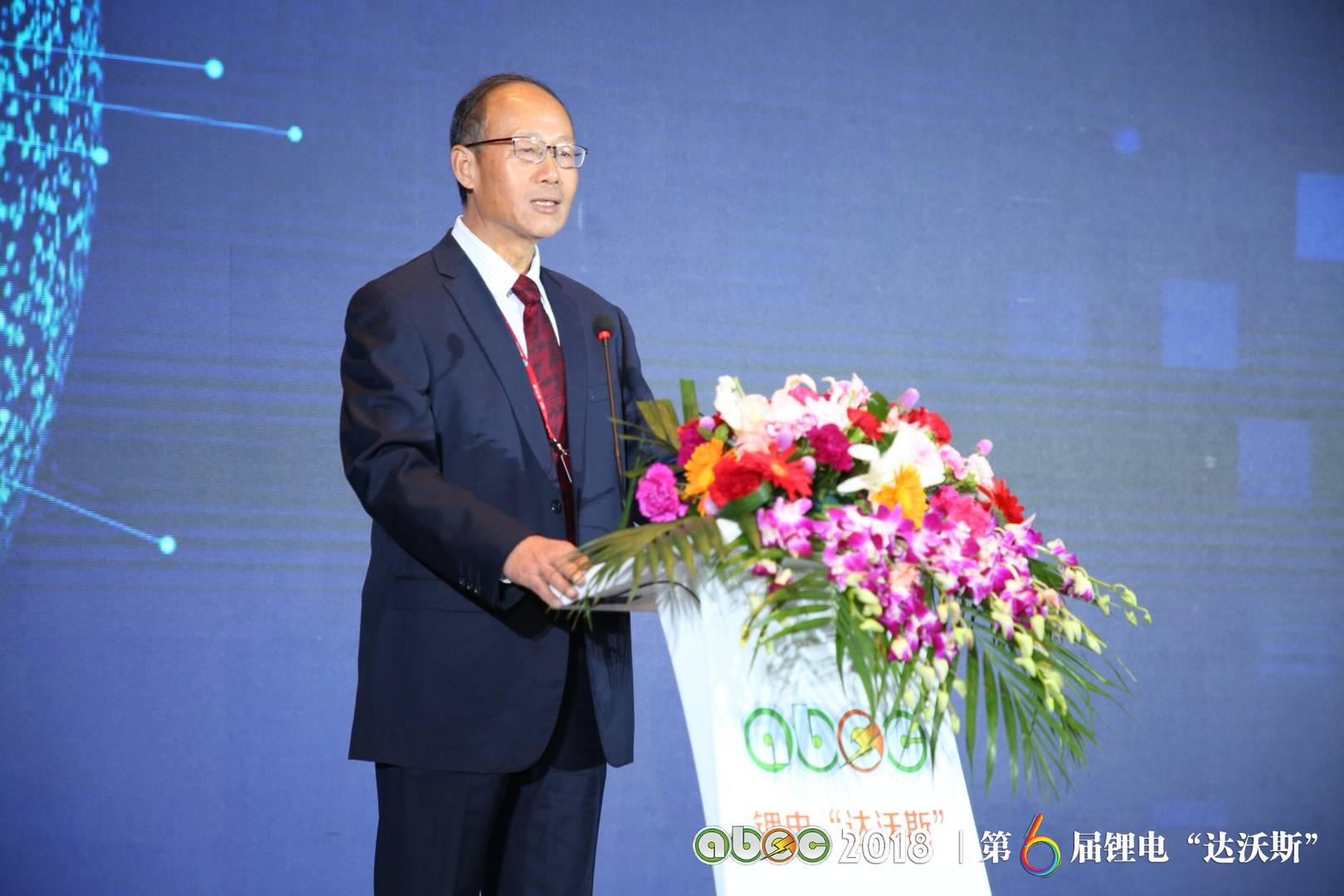 刘顺达：发展新能源汽车 大盘谋局 首在